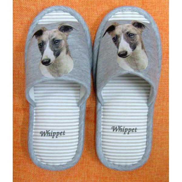 ECybgiH) Xbp 􂦂 jp O[ XgCv ې EHbVu [V[Y 킢  qp   V