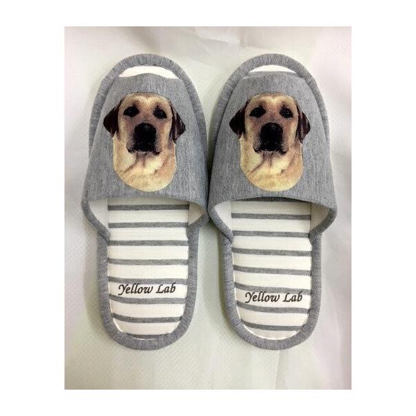 uh[g[o[ CG[iH) Xbp 􂦂 jp O[ XgCv ې EHbVu [V[Y 킢  qp V