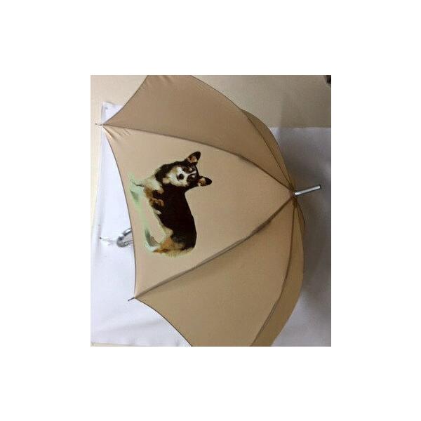 R[M[iJ[fBKj P 65cm a110cm fB[X Y jp JP 킢  ~J CObY UVJbg ɋ ϕ  