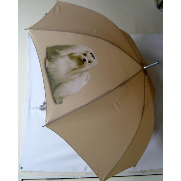 }`[YiPj P 65cm a110cm fB[X Y jp JP 킢  ~J CObY UVJbg ɋ ϕ   ObY