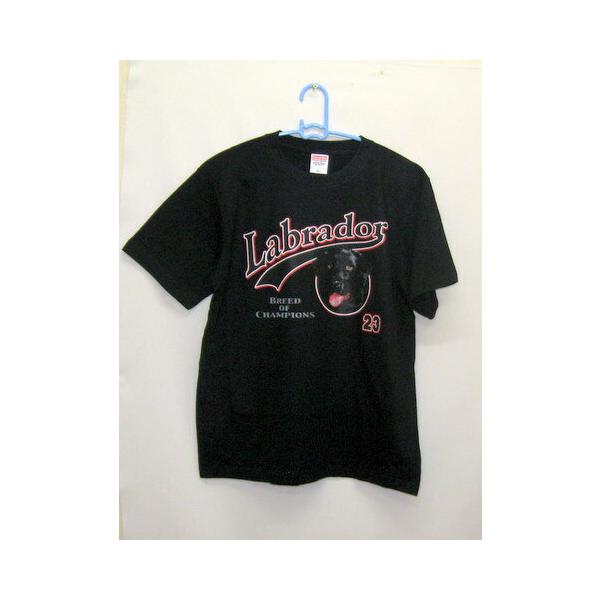 uh[go[ g[o[ ubNu tVc sVc  Jbg\[ N[lbN 100% DOG  dog