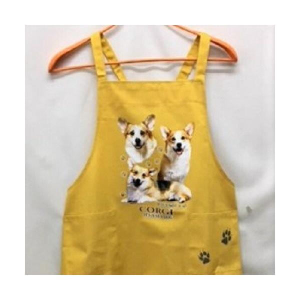 R[M[ J[ GviWQ) obNNX X^ |  킢 ۈm [NGv   hbO  Ck  I[i[ObY