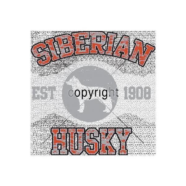 VxAnXL[iVGbgNo.2j P 65cm a110cm fB[X Y jp JP 킢  ~J CObY UVJbg ɋ ϕ 