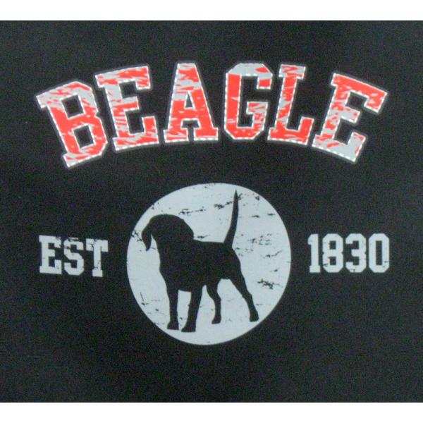 r[OiVGbgNo.2j P 65cm a110cm fB[X Y jp JP 킢  ~J CObY UVJbg ɋ ϕ  