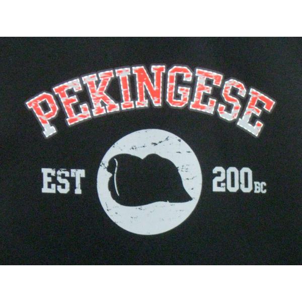 yLj[YiVGbgNo.2j P 65cm a110cm fB[X Y jp JP 킢  ~J CObY UVJbg ɋ ϕ  