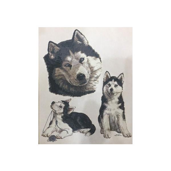 VxAnXL[iJbWj P 65cm a110cm fB[X Y jp JP 킢  ~J CObY UVJbg ɋ ϕ  