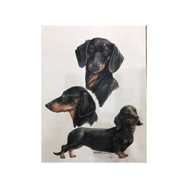 _bNXtg _bNXth ubNX[XiJbWj P 65cm a110cm fB[X Y jp JP 킢  ~J CObY ϕ