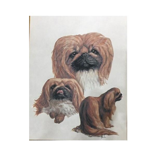 yLj[YiJbWj P 65cm a110cm fB[X Y jp JP 킢  ~J CObY UVJbg ɋ ϕ   ObY