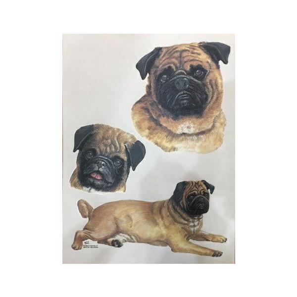 pOiJbWj P 65cm a110cm fB[X Y jp JP 킢  ~J CObY UVJbg ɋ ϕ   ObY