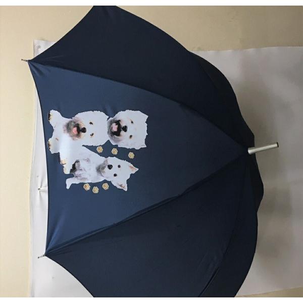 EGXgnChzCgeA EGXeB[iW2) P 65cm a110cm fB[X Y jp JP 킢  ~J CObY UVJbg