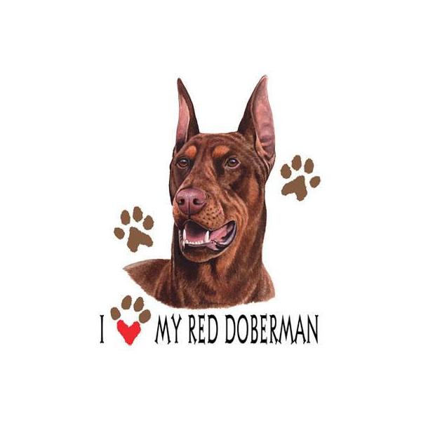 h[x}Ebhin[g) P 65cm a110cm fB[X Y jp JP 킢  ~J CObY UVJbg ɋ ϕ  