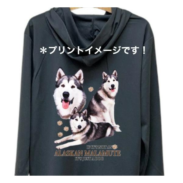 AXJ}~[g iWQj hCWbv p[J[   U X|[c C }EGA WbvAbv O UVJbg fB[X Y  