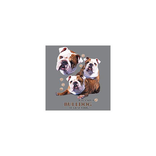 uiWQj hCWbv p[J[   U X|[c WbvAbv O UVJbg fB[X Y jZbNX Vv 킢 yAbN