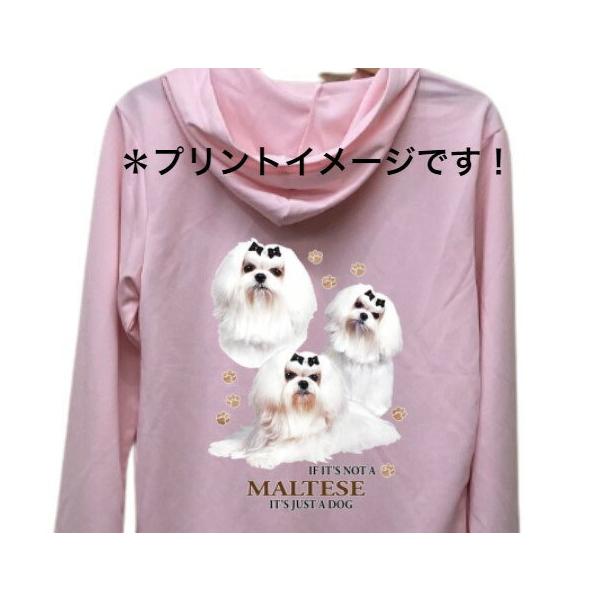 }`[Y iWQj hCWbv p[J[   U X|[c C }EGA[ WbvAbv O UVJbg fB[X Y jZbNX 