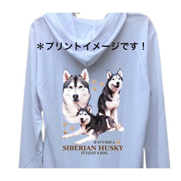 VxAnXL[ iWQjhCWbv p[J[   U X|[c C WbvAbv O UVJbg fB[X Y jZbNX Vv 