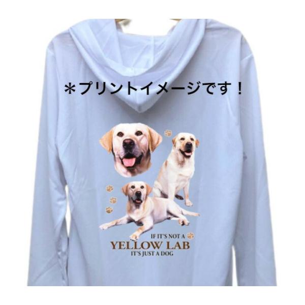 uh[go[ g[o[ CG[ CG[u hCWbv p[J[   U X|[c WbvAbv O UVJbg fB[X Y