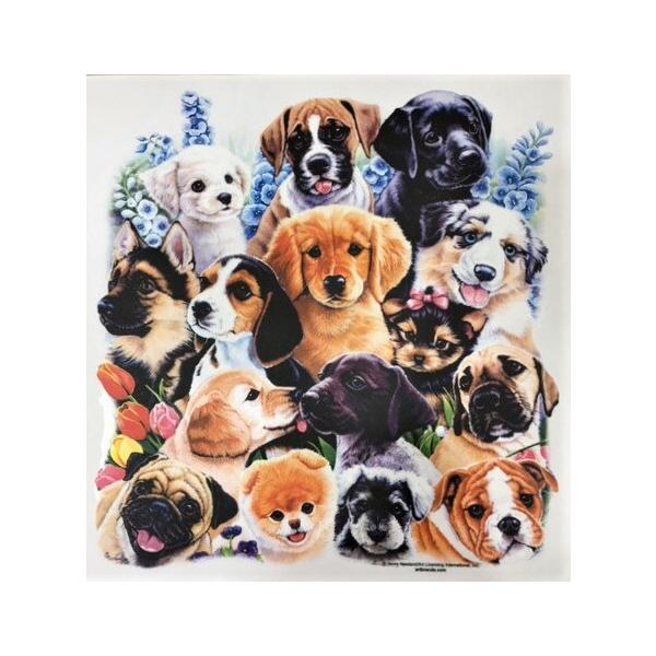 O[vhbOiWPTj hCWbv p[J[   U X|[c WbvAbv O UVJbg fB[X Y jZbNX Vv 킢