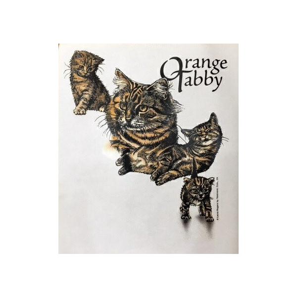 IW^r[ WR Lbg L cat lR ˂ hC p[J[ hCWbv p[J[   U X|[c WbvAbv O UVJbg fB[X