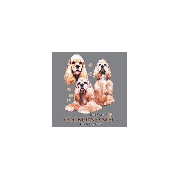 AJRbJXpjG XEFbg tWbvp[J[ (WQj vg hbO 킢 Mtg I[i[YObY LOi It  G