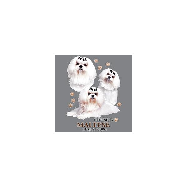 }`[Y XEFbg tWbv p[J[(WQjvg  킢 I[i[YObY 