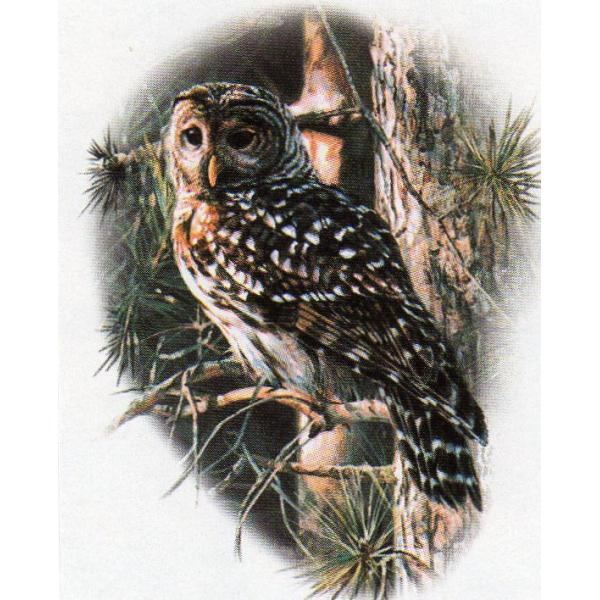 厚手でたっぷり収納！オシャレ かばん カバン 大容量 肩掛け 丈夫 お散歩バッグ 【ラッピング無料】ギフトにも人気！プレゼント鳥 フクロウ 梟 OWL (０１−D) 猛禽類 トートバッグ エコバッグ マイバッグ【Lサイズ/大】かわいい おし...