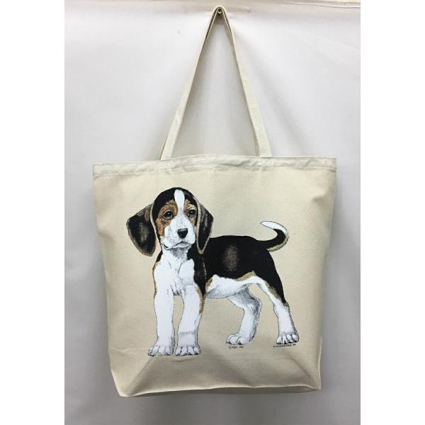 r[O (R-04) g[gobO GRobO }CobO킢  fB[X Y jp a4 傫 LoX hbO    vg