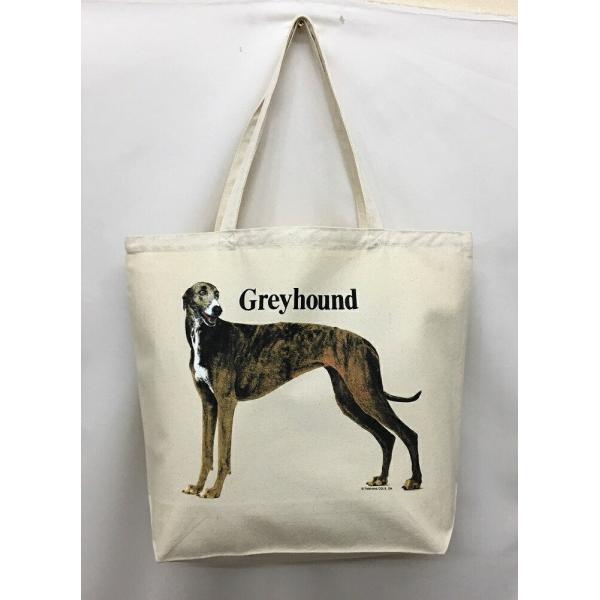 OCnEh (R-06) g[gobO GRobO }CobO킢  fB[X Y jp a4 傫 LoX hbO    ObY