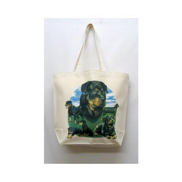 bgC[ (WP) g[gobO GRobO }CobO킢  fB[X Y jp a4 傫 LoX hbO   