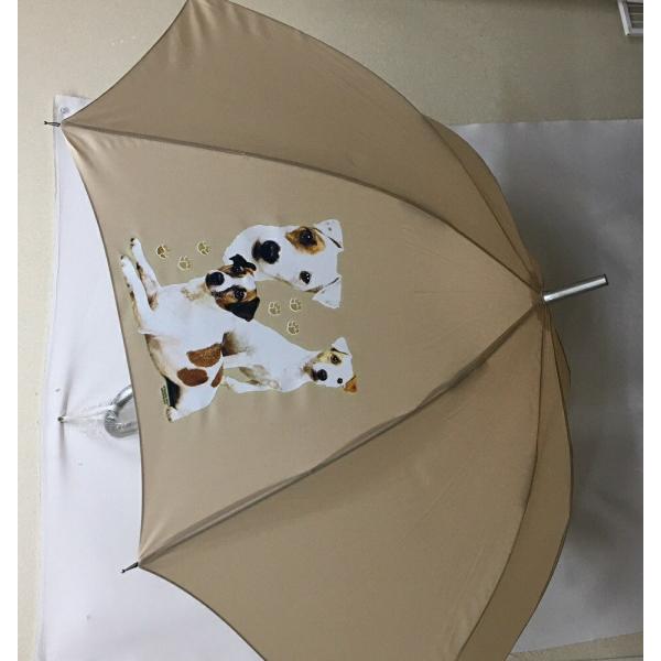 WbNbZeAiW2j P 65cm a110cm fB[X Y jp JP 킢  ~J CObY UVJbg ɋ ϕ  