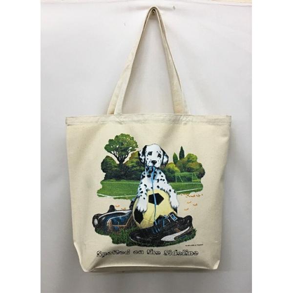 _VA ps[(R-02) g[gobO GRobO }CobO킢  fB[X Y jp a4 傫 LoX hbO   