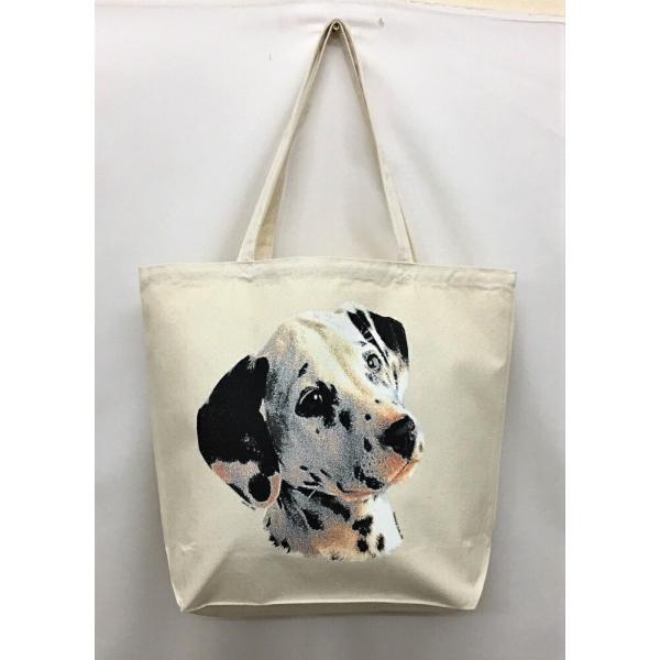 _VA (R-06) g[gobO GRobO }CobO킢  fB[X Y jp a4 傫 LoX hbO    vg