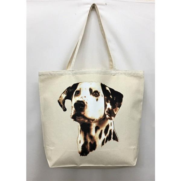 _VA (R-08) g[gobO GRobO }CobO킢  fB[X Y jp a4 傫 LoX hbO    vg