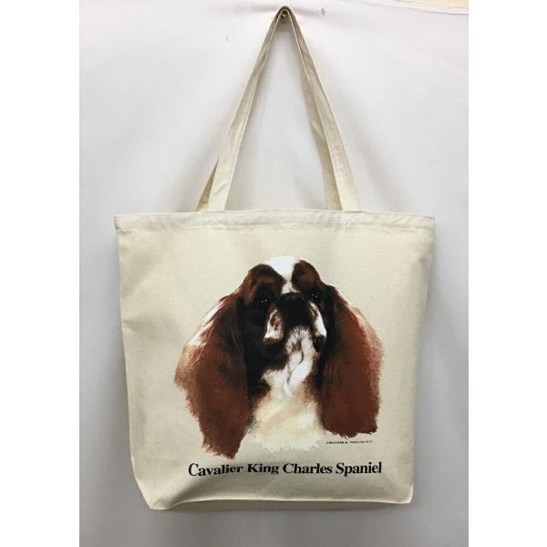 LoA (R-03) g[gobO GRobO }CobO킢  fB[X Y jp a4 傫 LoX hbO    vg