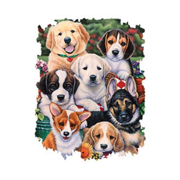 WhbOEps[ iWPUjhbO S[f r[O uh[ Zgo[i[h W[} R[M[ LoA g[gobO GRobO