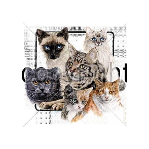 Lbg iNo.10jlR L XEFbg g[i[ EhlbN  fB[X Y jZbNX 100% vI[o[ Vv 킢 yAbN