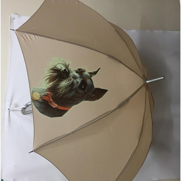 ViEU[iNo.5j P 65cm a110cm fB[X Y jp JP 킢  ~J CObY UVJbg ɋ ϕ   ObY