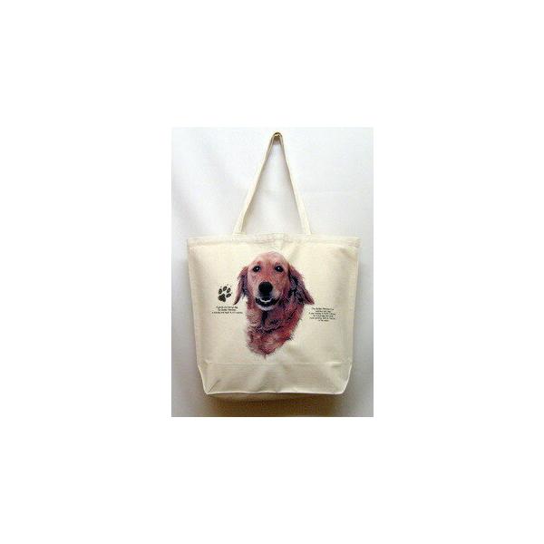 S[fg[o[ g[gobO GRobO }CobO킢  fB[X Y jp a4 傫 LoX hbO   