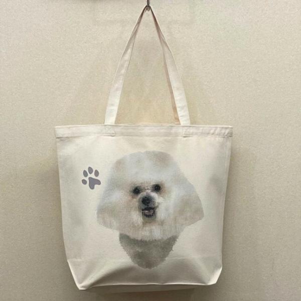 rVt[[ qXg[ g[gobO GRobO }CobO킢  fB[X Y jp a4 傫 LoX hbO   