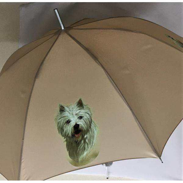 EGXgnChzCgeAiX[|[YjEGXeB[ P 65cm a110cm fB[X Y jp JP 킢  ~J CObY