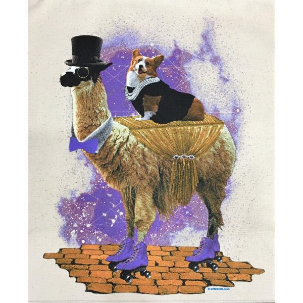 R[M[ (R[M[I}) } tVc  Jbg\[ ێ^ N[lbN 100% Rbg gbvX  fB[X Y Vv 킢 