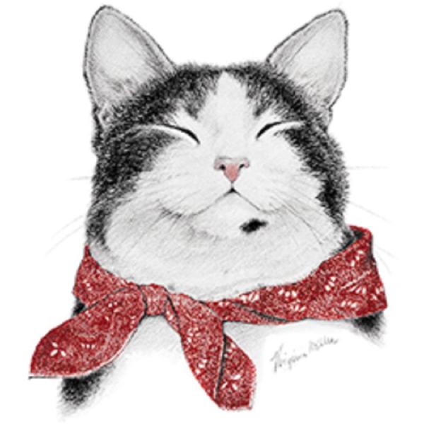 Lbg (o_iLbg) L lR tVc  Jbg\[ ێ^ N[lbN 100% Rbg gbvX  fB[X Y Vv 킢 