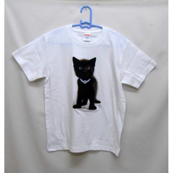 Lbg NlR lR L Lg ubNLbg tVc  Jbg\[ ێ^ N[lbN 100% Rbg gbvX  fB[X Y Vv