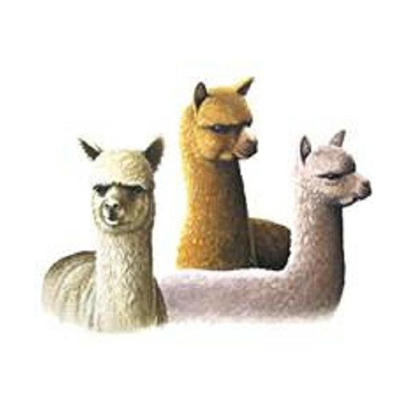 アルパカ グッズの通販 価格比較 価格 Com