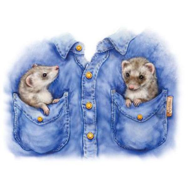 tFbg (OR|L)  tVc  Jbg\[ ێ^ N[lbN 100% Rbg gbvX  fB[X Y Vv 킢  