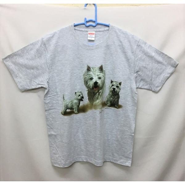 EGXgnChzCgeA (X[|[YQ)EGXeB[ tVc  Jbg\[ ێ^ N[lbN 100% Rbg gbvX  fB[X 