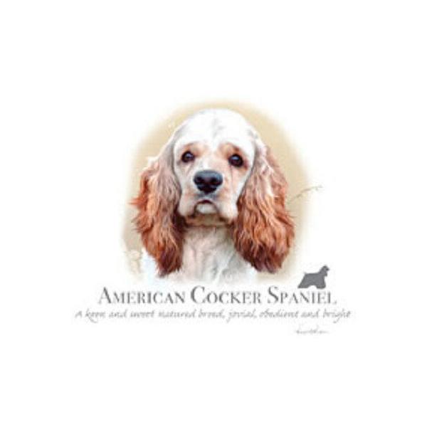 AJRbJXpjGiNEWj P 65cm a110cm fB[X Y jp JP 킢  ~J CObY UVJbg ɋ ϕ 