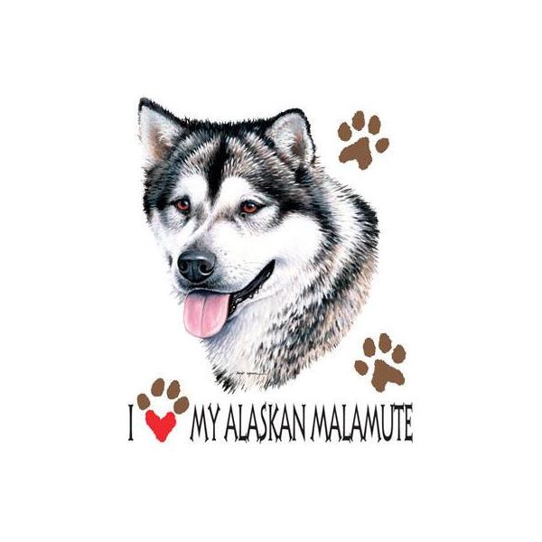 AXJ}~[gin[g) P 65cm a110cm fB[X Y jp JP 킢  ~J CObY UVJbg ɋ ϕ  