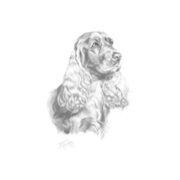 イングリッシュコッカースパニエル 犬用ペットグッズ 犬用品の人気商品 通販 価格比較 価格 Com