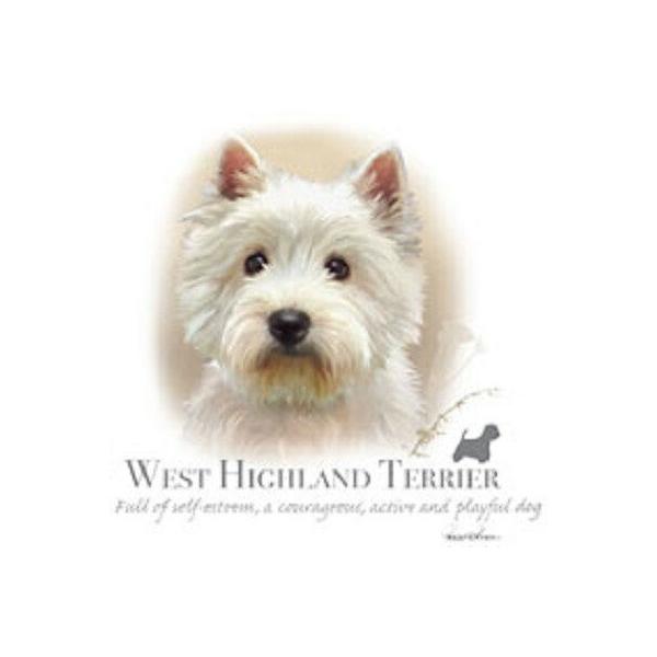 EGXgnChzCgeAiNEWj EGXeB[ P 65cm a110cm fB[X Y jp JP 킢  ~J CObY UVJbg