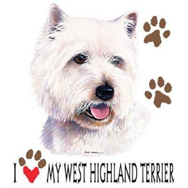 EGXgnChzCgeAin[gj EGXeB[ P 65cm a110cm fB[X Y jp JP 킢  ~J CObY UVJbg